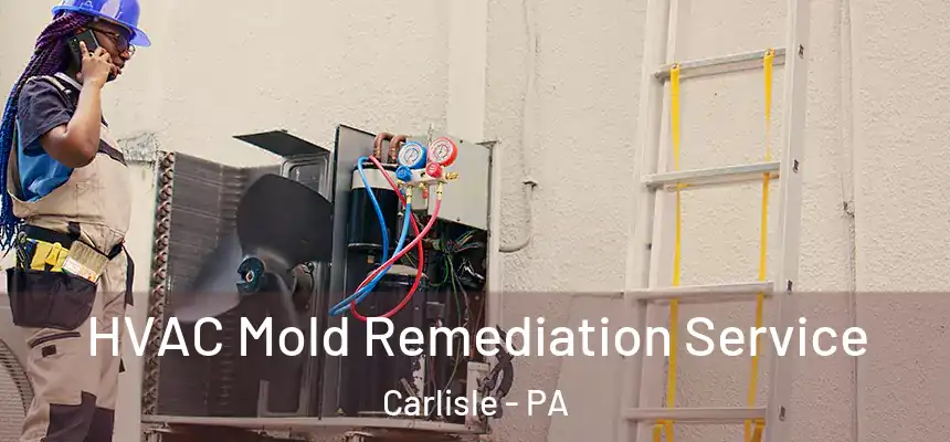  HVAC Mold Remediation Service Carlisle - PA