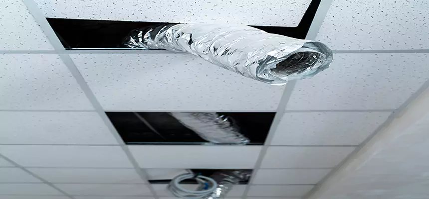 Affordable HVAC Sanitizing After Pest Removal in Carlisle