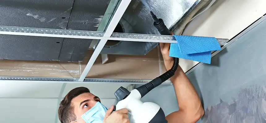 Our Air Duct Rodent Removal Services in Carlisle, PA