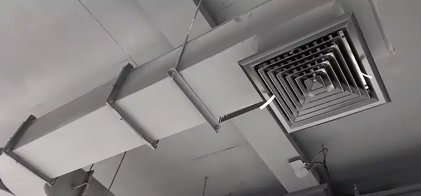 Restorative Allergy Relief Vent Cleaning – Coil, Blower & Housing Detail in Carlisle