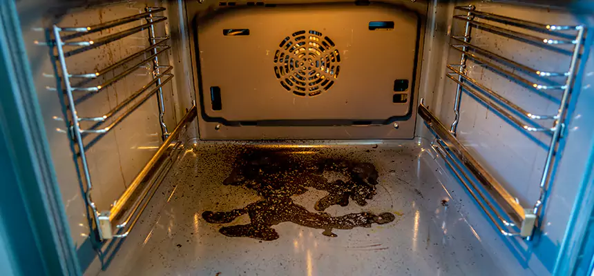 Our Dryer Vent Mold Cleaning Services in Carlisle, PA