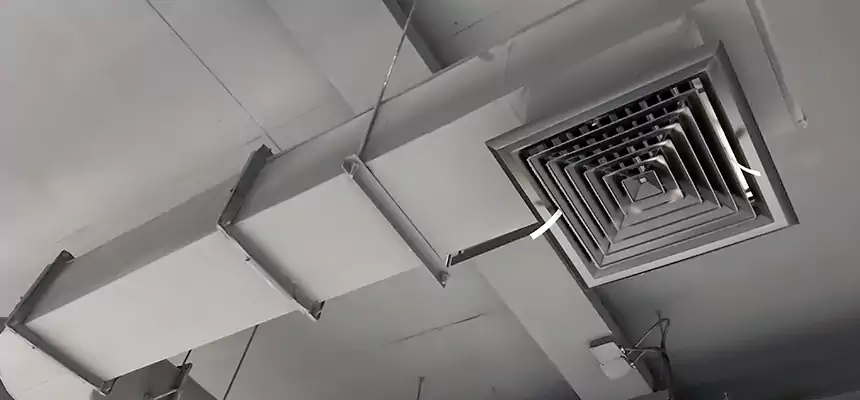 Our Pest Removal From Ducts Services in Carlisle, PA