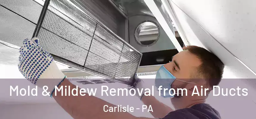  Mold & Mildew Removal from Air Ducts Carlisle - PA