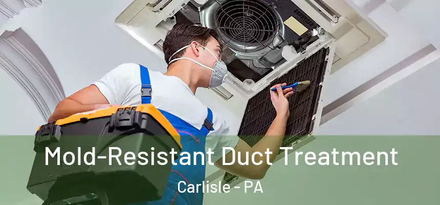  Mold-Resistant Duct Treatment Carlisle - PA