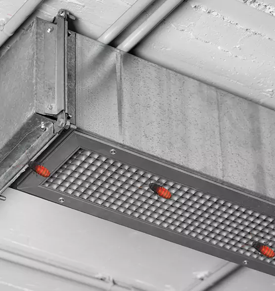 About Air Duct Cockroach Removal in Carlisle, PA