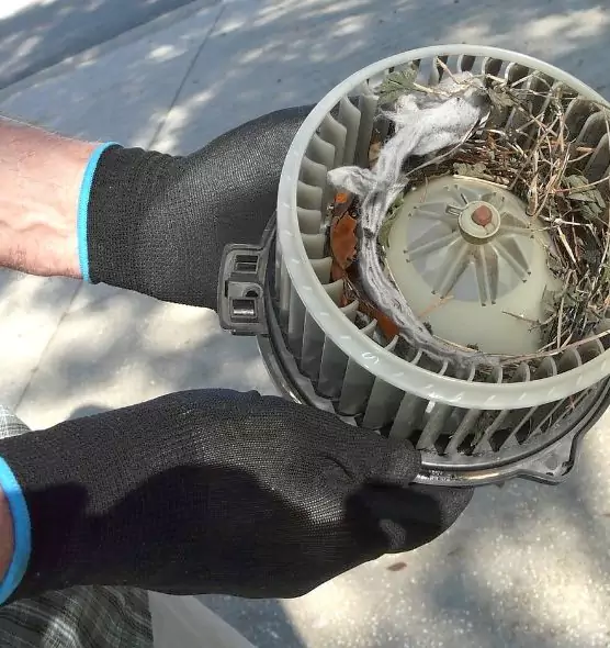 About Air Duct Mice Removal in Carlisle, PA