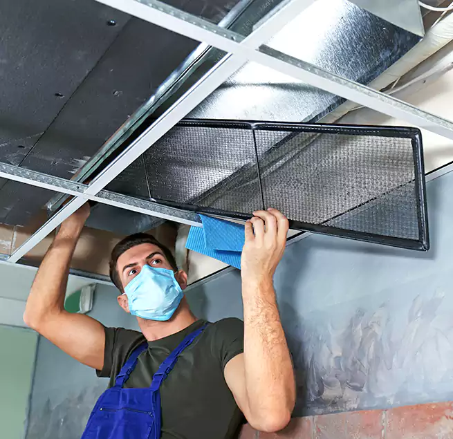 Why Homeowners Businesses Trust Us in Carlisle, PA